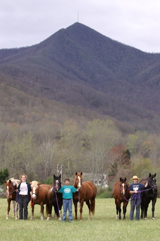 Pisgah View Ranch Candler Exterior foto